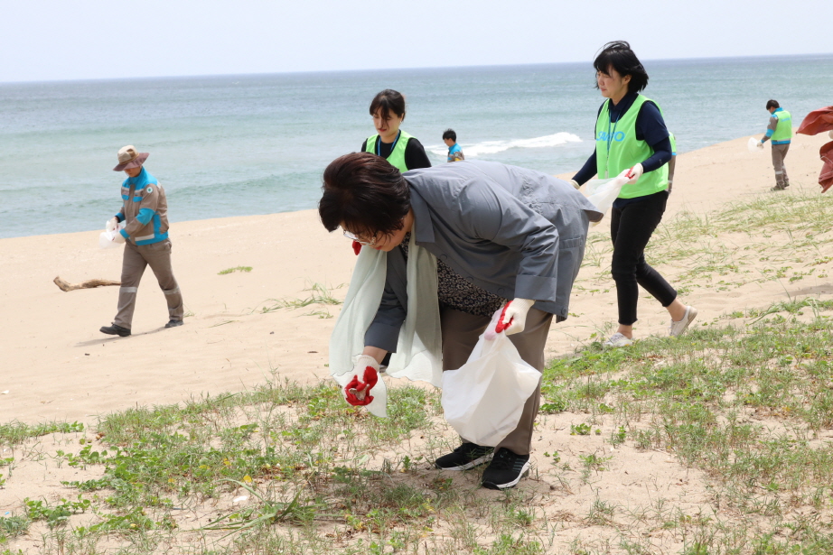 덕산 반려해변 해양정화 활동 전개 이미지(2)