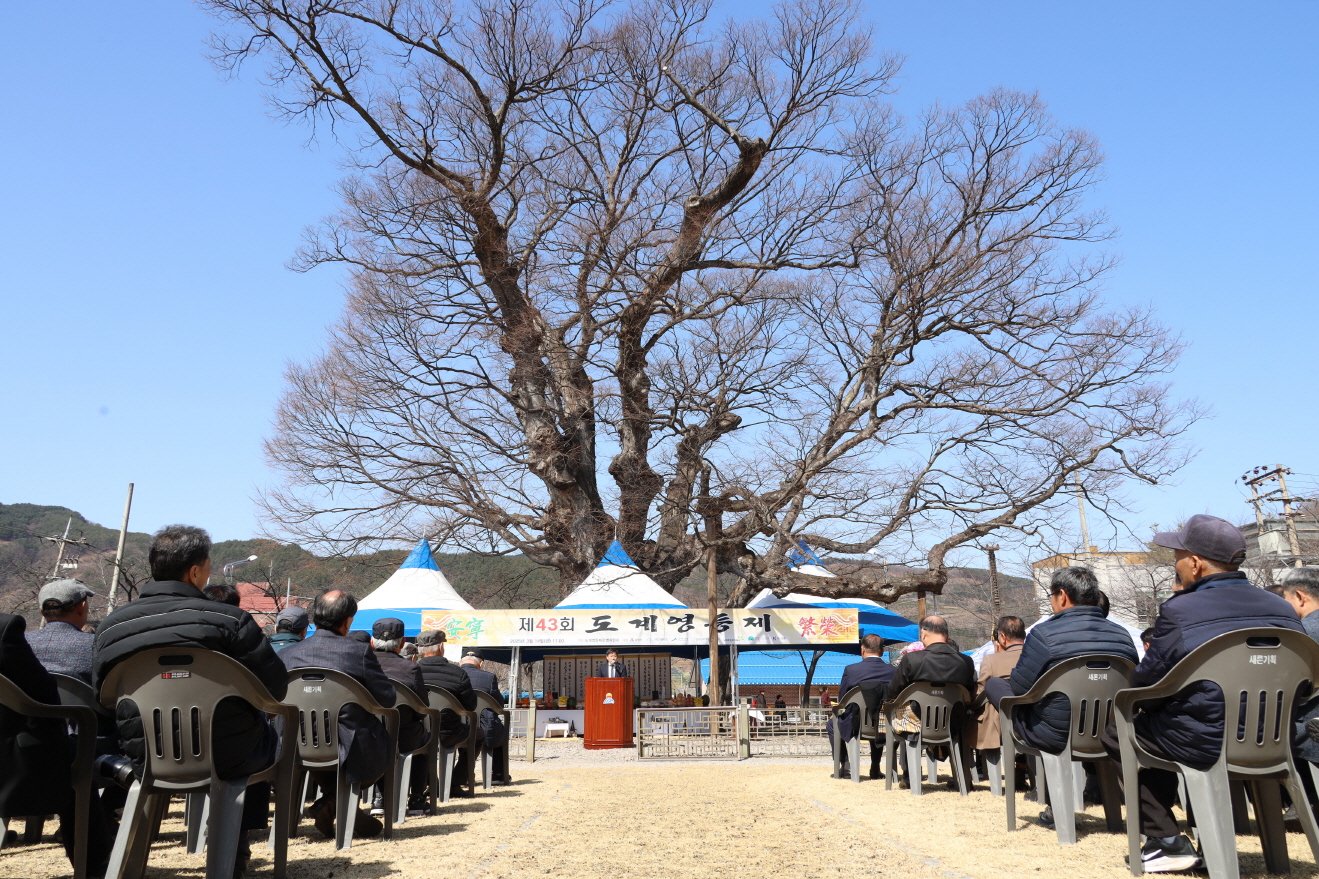 제43회 도계 영등제 이미지(2)